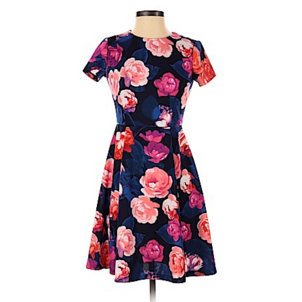 Eliza J Floral Print A Line Fit & Flare Mini Dress